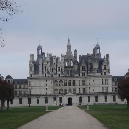 Gite Le Cerf Solognot Proche Chateau Chambord, Lamotte Beuvron Neung-sur-Beuvron Exterior foto